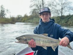 Sockeye Salmon caught while fishing in OR