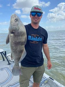 Sheepshead Fishing In Corpus Christi, TX