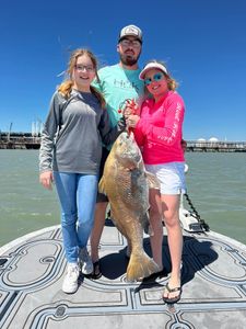 Black Drum Fishing In Corpus Christi, TX