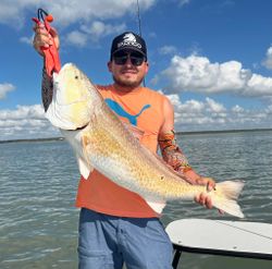 Large Redfish Reeled From Corpus Christi, TX 