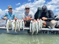 A group of 4 people fishing for 7 black drum fish in Corpus Christi