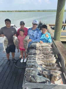 Five black drum fish caught by group of five people in Corpus Christi