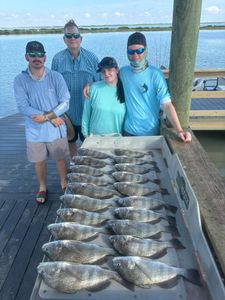 8 black drum fish caught in TX