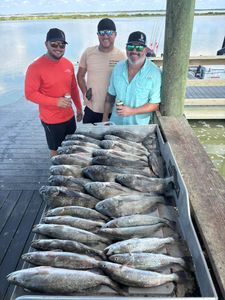 8 black drum and spotted weakfish caught while fishing in TX