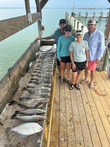 4 black drum and spotted weakfish caught fishing in TX