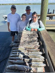 4 black drum fish caught on fishing trip in Corpus Christi