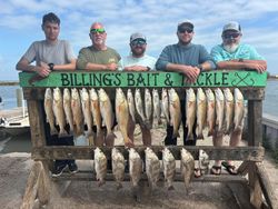 Fresh caught redfish and black drum displayed on fishing cleaning station in Corpus Christi TX