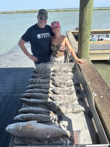 Large catch of redfish displayed on cleaning table at Corpus Christi TX fishing dock