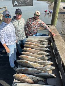 Successful redfish catch displayed on dock in Corpus Christi TX
