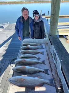 Fresh caught redfish displayed on wooden dock in Corpus Christi Texas