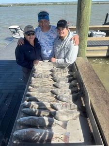 Fresh caught redfish displayed on dock in Corpus Christi TX after successful fishing trip