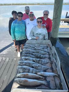 Successful redfish fishing trip in Corpus Christi TX showing multiple caught redfish laid out on dock