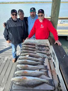Fresh caught redfish displayed on cleaning table at Corpus Christi TX fishing dock