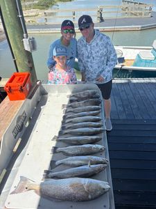 Successful fishing trip in Corpus Christi TX displaying redfish, speckled trout, and black drum catch on boat