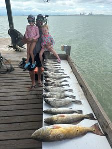 Successful fishing trip in Corpus Christi TX displaying catch of redfish, speckled trout, and black drum on dock