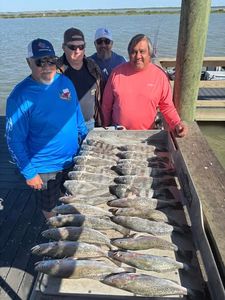 Large catch of speckled trout and other fish displayed on wooden dock in Corpus Christi TX