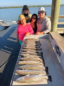Speckled trout catch displayed on cleaning station in Corpus Christi TX