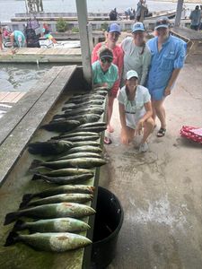 Large catch of speckled trout displayed on fishing dock in Corpus Christi TX