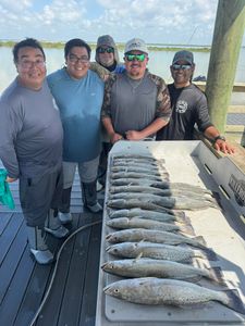 Successful fishing trip in Corpus Christi TX showing caught speckled trout laid out on cleaning table