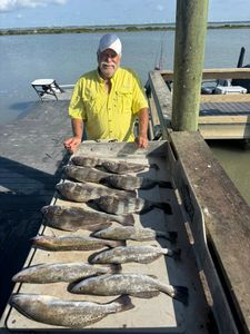 Successful fishing trip displaying multiple speckled trout and black drum catch on cleaning station in Corpus Christi TX