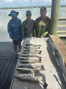 Successful fishing trip displaying speckled trout and black drum catch on cleaning station in Corpus Christi TX
