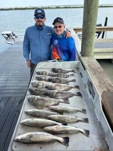 Successful fishing trip in Corpus Christi TX showing catch of speckled trout and black drum on dock