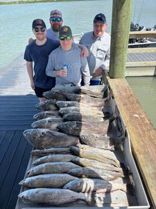 Large fishing catch of speckled trout and black drum displayed on dock in Corpus Christi TX