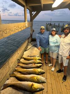 4 huge redfish caught in Corpus Christi