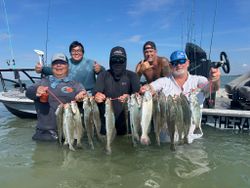 Six spotted weakfish caught during a fishing and hunting trip in Corpus Christi