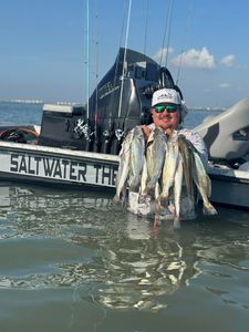 Speckled trout fishing catch displayed on boat in Corpus Christi TX saltwater