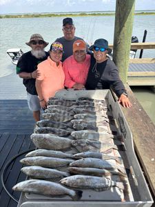 5 Spotted Weakfish, fishing in TX