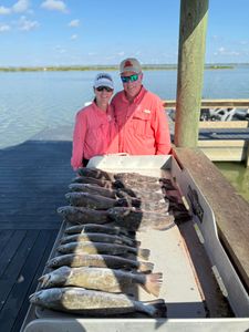 Spotted Weakfish caught while fishing in TX