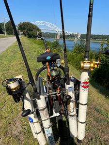 Expert surf fishing guide Cape Cod.