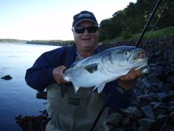 Learn fishing with Cape Cod experts.