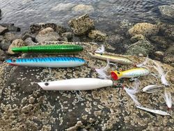 Beginner fly fishing on Cape Cod.