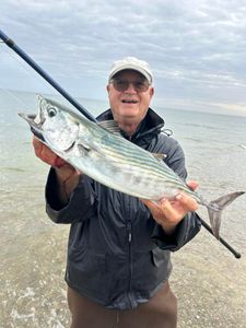 Photograph of a 24-inch Atlantic Bonito caught while fishing in East Sandwich