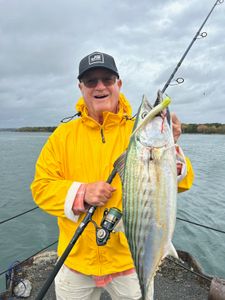 Fishing for Atlantic Bonito in East Sandwich