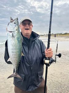 Atlantic Bonito fish caught while fishing in MA