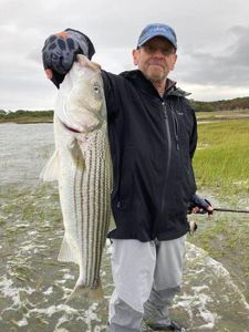 A striped bass caught while fishing in MA