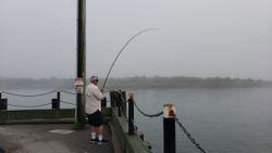 Angler enjoying a day of fishing in East Sandwich
