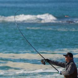 One person fishing in MA