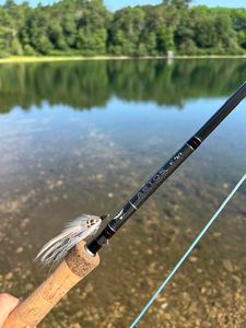 A fishing trip in MA