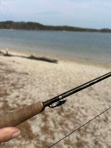 East Sandwich fishing