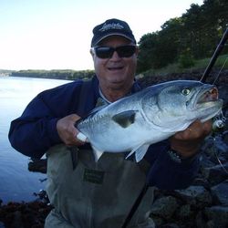 Solitary angler fishing at East Sandwich