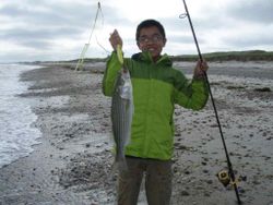 A striped bass caught in East Sandwich