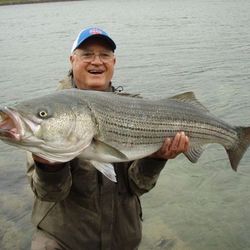 Striped bass fishing in East Sandwich