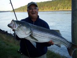 Striped bass fishing in East Sandwich