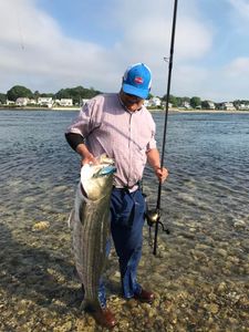 Striped bass fishing in MA