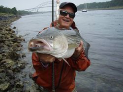 Fishing in MA