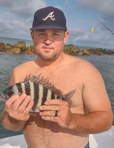 Sheepshead in Charleston